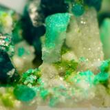 Dioptase, calcite and duftite.
Tsumeb, Namibia
Field of view, approx. 10 mm
Same specimen as above. (Author: Pierre Joubert)