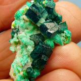 Dioptase, calcite and duftite.
Tsumeb, Namibia
34 x 21 x 14 mm (Author: Pierre Joubert)