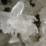 Pentahydroborite
Shijiangshan, Ulanhad League, Inner Mongolia A.R., China
FOV 0.9 cm
Note the Wurtzite crystal groups backwards. (Author: Cesar M. Salvan)