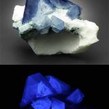 Benitoite
Benitoite Mine, San Benito County, California, USA
15 x 18 x 14 mm
 (Author: xdxucn)