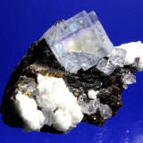 Fluorite, Calcite, Sphalerite
Minerva No. 1 Mine (Ozark-Mahoning No. 1 Mine) Ozark-Mahoning Group, Cave-in-Rock Sub-District, Illinois - Kentucky Fluorspar District, Hardin Co., Illinois, USA
7.6 x 5.3 cm (Author: Don Lum)