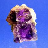 Fluorite, Quartz
Berbes Mining area, Ribadesella, Asturias, Spain
4.9 x 4.0 cm (Author: Don Lum)