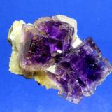 Fluorite, Quartz
Berbes Mining area, Ribadesella, Asturias, Spain
4.9 x 4.0 cm (Author: Don Lum)