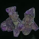 Fluorite
Minerva No. 1 Mine, Cave-in-Rock Sub-District, Hardin Co., Illinois, USA
6.7 x 5.4 cm (Author: am mizunaka)