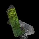 Elbaite, Quartz
Cruzeiro mine, São José da Safira, Doce valley, Minas Gerais, Brazil
4.2 x 4.7 cm (Author: am mizunaka)