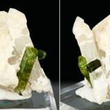 Elbaite on quartz<br />Jequitinhonha, Minas Gerais, Brazil<br />Specimen height 5 cm, largest tourmalines 2 cm<br /> (Author: Tobi)