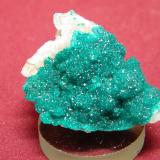 Dioptase<br />Tsumeb Mine, Tsumeb, Otjikoto Region, Namibia<br />40x30mm<br /> (Author: Heimo Hellwig)