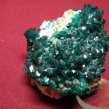 Dioptase<br />Tsumeb Mine, Tsumeb, Otjikoto Region, Namibia<br />60x50mm<br /> (Author: Heimo Hellwig)