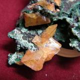 Wulfenite<br />Tsumeb Mine, Tsumeb, Otjikoto Region, Namibia<br />60x40mm<br /> (Author: Heimo Hellwig)