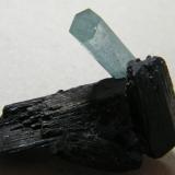 Beryl (var. aquamarine) on Schorl<br />Erongo Mountain, Usakos, Erongo Region, Namibia<br />50x40mm<br /> (Author: Heimo Hellwig)