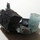 Beryl (var. aquamarine) on Schorl<br />Erongo Mountain, Usakos, Erongo Region, Namibia<br />80x50mm<br /> (Author: Heimo Hellwig)