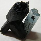 Beryl (var. aquamarine) on Schorl<br />Erongo Mountain, Usakos, Erongo Region, Namibia<br />45x50mm<br /> (Author: Heimo Hellwig)