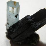 Beryl (var. aquamarine) on Schorl<br />Erongo Mountain, Usakos, Erongo Region, Namibia<br />35x40mm<br /> (Author: Heimo Hellwig)