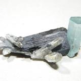 Beryl (var. aquamarine) on Schorl<br />Erongo Mountain, Usakos, Erongo Region, Namibia<br />60x30mm<br /> (Author: Heimo Hellwig)