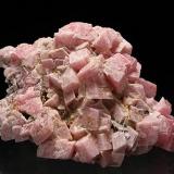 Rhodochrosite<br />Cavnic Mine, Cavnic mining area, Cavnic, Maramures, Romania<br />H:5.2cm xW:3.6cm xD:2.5cm; Largest Crystal: 1.1cm<br /> (Author: Adrian Pripoae)