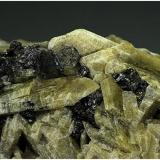 Diopside<br />Baita Mining District, Nucet, Bihor County, Romania<br />H:9.5cmxW:5cmxD:6cm; crystals up to 4 cm<br /> (Author: Adrian Pripoae)