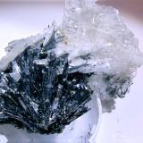 Barite<br />Baia Sprie Mine, Baia Sprie, Maramures, Romania<br />H:7.3 cm x W:4 cm x D:3.5 cm<br /> (Author: Adrian Pripoae)