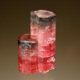 Elbaite (Tourmaline Group)<br />Stewart Mine, Tourmaline Queen Mountain, Pala, Pala District, San Diego County, California, USA<br />1.2 x 2.2 cm<br /> (Author: crosstimber)