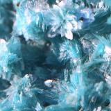 Aurichalcite<br />Mapimí, Municipio Mapimí, Durango, Mexico<br /><br /> (Author: steven calamuci)