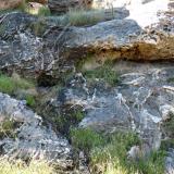 Quartz veins in sandstone.  Sometimes very nice small pockets are found in these. (Author: Pierre Joubert)