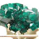 Dioptase<br />Tsumeb Mine, Tsumeb, Otjikoto Region, Namibia<br />60x50mm<br /> (Author: Heimo Hellwig)