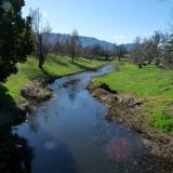 A trout stream running through our town; a few hundred m from our home. (Author: Pierre Joubert)