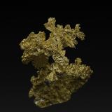GoldMockingbird Mine, Colorado area, Whitlock District, Mother Lode Belt, Mariposa County, California, USA4.9 x 3.8 cm (Author: am mizunaka)
