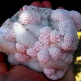 Rhodocrosite with Quartz and SphaleriteCavnic mining area, Cavnic, Maramures, Romania~ 11 x 10 cm (Author: Deyu)