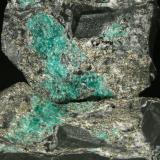 Beryl (variety emerald) with Pyrite<br />La Pita mining district, Municipio Maripí, Western Emerald Belt, Boyacá Department, Colombia<br />Detail - FOV 12cm<br /> (Author: Fiebre Verde)
