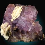 Fluorita, Barita<br />Zona minera de Berbes, Berbes, Ribadesella, Comarca Oriente, Principado de Asturias (Asturias), España<br />18x15cm, cristales hasta 3cm<br /> (Autor: Raul Vancouver)