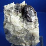 Gadolinita-(Y)<br />Pegmatita Slobrekka, Frikstad, Iveland, Aust-Agder, Noruega<br />50x35mcm.; cristal 20x15 mm.<br /> (Autor: Jesus Franquesa Baucells)