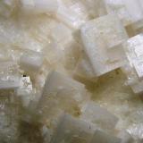 Halita<br />Salinas de Imón, Imón, Sigüenza, Comarca Serranía de Guadalajara, Guadalajara, Castilla-La Mancha, España<br />7 x 8,5 x 3 cm.<br /> (Autor: Felipe Abolafia)