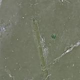 Quartz with inclusions<br />Merelani Hills, Lelatema Mountains, Simanjiro District, Manyara Region, Tanzania<br /><br /> (Author: am mizunaka)