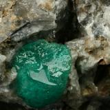 Beryl (variety emerald), Calcite<br />Coscuez mining district, Municipio San Pablo de Borbur, Western Emerald Belt, Boyacá Department, Colombia<br />Detail - FOV=3cm<br /> (Author: Fiebre Verde)