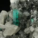 Beryl (variety emerald), Calcite<br />Coscuez mining district, Municipio San Pablo de Borbur, Western Emerald Belt, Boyacá Department, Colombia<br />Detail - FOV=5cm<br /> (Author: Fiebre Verde)