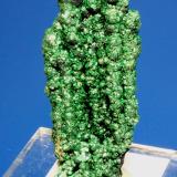 Malachite<br />Katanga Copper Crescent, Katanga (Shaba), Democratic Republic of the Congo (Zaire)<br />6 x 2.8 cm<br /> (Author: Don Lum)