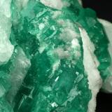 Beryl (variety emerald), Calcite<br />Coscuez mining district, Municipio San Pablo de Borbur, Western Emerald Belt, Boyacá Department, Colombia<br />Detail - FOV=4cm<br /> (Author: Fiebre Verde)