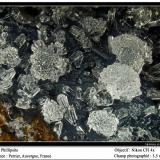 Phillipsite<br />Perrier, Issoire District, Puy-de-Dôme Department, Auvergne-Rhône-Alpes, France<br />3.5 mm<br /> (Author: ploum)