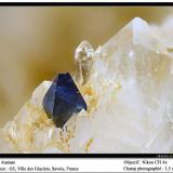 Anatase<br />Ville des Glaciers, Savoie, Auvergne-Rhône-Alpes, France<br />fov 3.5 mm<br /> (Author: ploum)