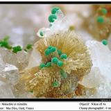 Mimetite, Malachite<br />Mas Dieu, Mercoirol, Alès, Gard, Occitanie, France<br />fov 6 mm<br /> (Author: ploum)