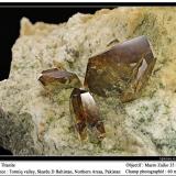 Titanite<br />Tormiq Valley, Baltistan District, Gilgit-Baltistan (Northern Areas), Pakistan<br />fov 60 mm<br /> (Author: ploum)
