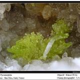 Pyromorphite<br />Mas Dieu, Mercoirol, Alès, Gard, Occitanie, France<br />fov 3.5 mm<br /> (Author: ploum)