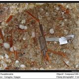 PseudobrookiteDe la Aljorra Quarries, Cerro de la Cabezuela (de la Aljorra Volcano), La Aljorra, Cartagena, Comarca Campo de Cartagena, Region of Murcia (Murcia), Spain6 mm (Author: ploum)