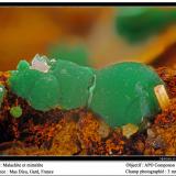 Malachite and mimetite<br />Mas Dieu, Mercoirol, Alès, Gard, Occitanie, France<br />fov 3 mm<br /> (Author: ploum)