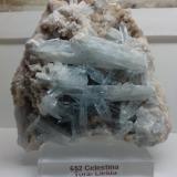 Celestina<br />Yacimiento de Celestinas, Torà, Comarca La Segarra, Lérida / Lleida, Cataluña / Catalunya, España<br />8 x 8 x 5 cm<br /> (Autor: DavidSG)