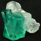 Beryl (variety emerald), Calcite<br />Muzo mining district, Western Emerald Belt, Boyacá Department, Colombia<br />Main crystal = 13mm<br /> (Author: Fiebre Verde)
