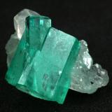 Beryl (variety emerald), Calcite<br />Muzo mining district, Western Emerald Belt, Boyacá Department, Colombia<br />Main crystal = 13mm<br /> (Author: Fiebre Verde)