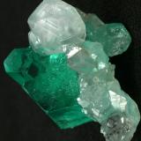 Beryl (variety emerald), Calcite<br />Muzo mining district, Western Emerald Belt, Boyacá Department, Colombia<br />Main crystal = 13mm<br /> (Author: Fiebre Verde)