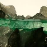 Beryl (variety emerald), Calcite, Quartz<br />Coscuez mining district, Municipio San Pablo de Borbur, Western Emerald Belt, Boyacá Department, Colombia<br />Detail - FOV=3.5cm<br /> (Author: Fiebre Verde)