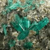 Beryl (variety emerald), Calcite, Pyrite, Albite<br />Muzo mining district, Western Emerald Belt, Boyacá Department, Colombia<br />Detail - FOV=4cm<br /> (Author: Fiebre Verde)